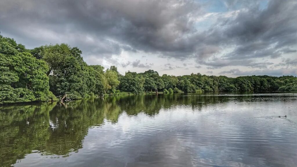 Wyndley Pool beside Sutton Park